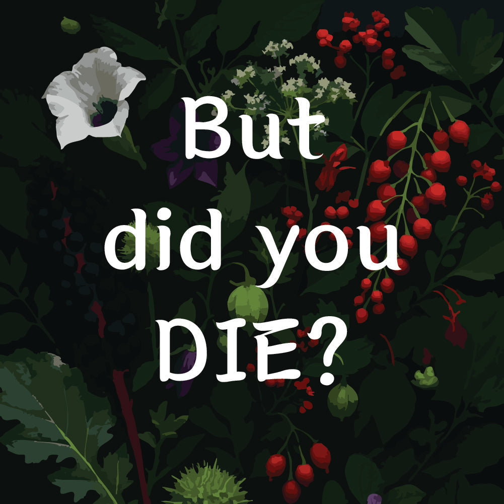 From Camellia to Catnip: When It's Tea if You Believe Hard Enough