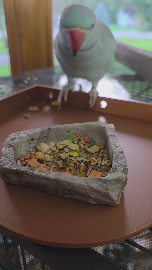 Pet Cage Platform for birds, hamsters, or others