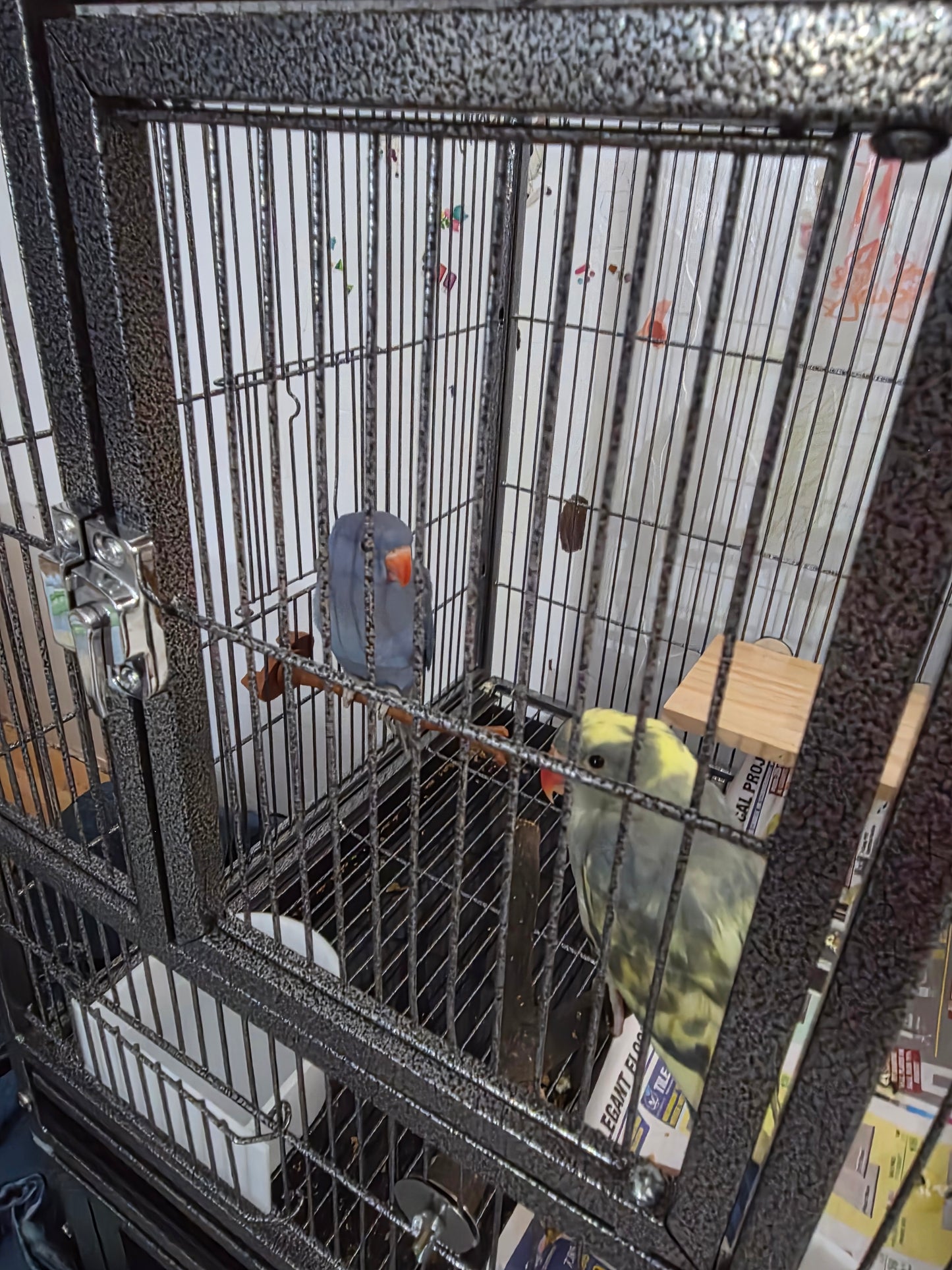 Bird Perch Nature Inspired