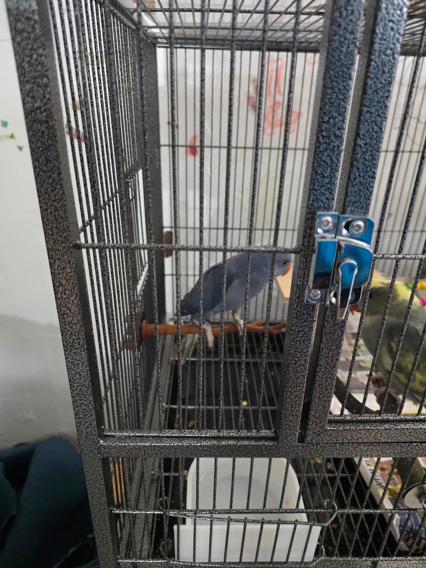 Bird Perch Nature Inspired