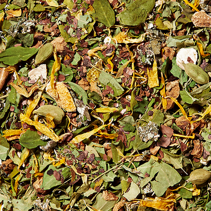 Winter Herbs